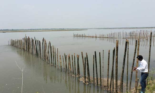 TriumphOverRiver-2 Bamboo Screening along the Riverbanks of Jania-Daukmari and Kalampur.