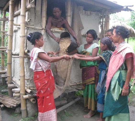 A Community-Based Good Practice for Flood-Resilient Grain Storage in Assam