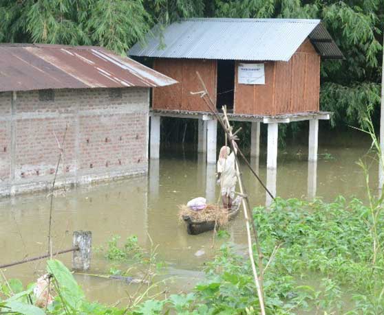 Key Components of Kongali Bhoral